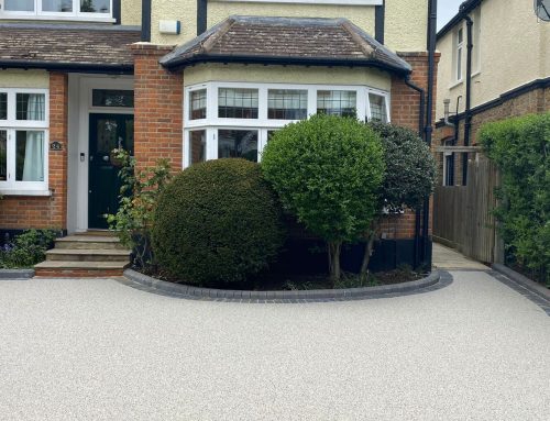 Transform Your Garden This Winter: Why Now Is the Perfect Time to Plan Landscaping Projects