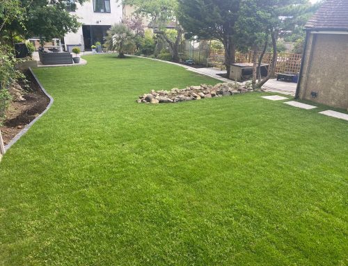 Transforming Gardens with Expert Landscaping and Paving Solutions